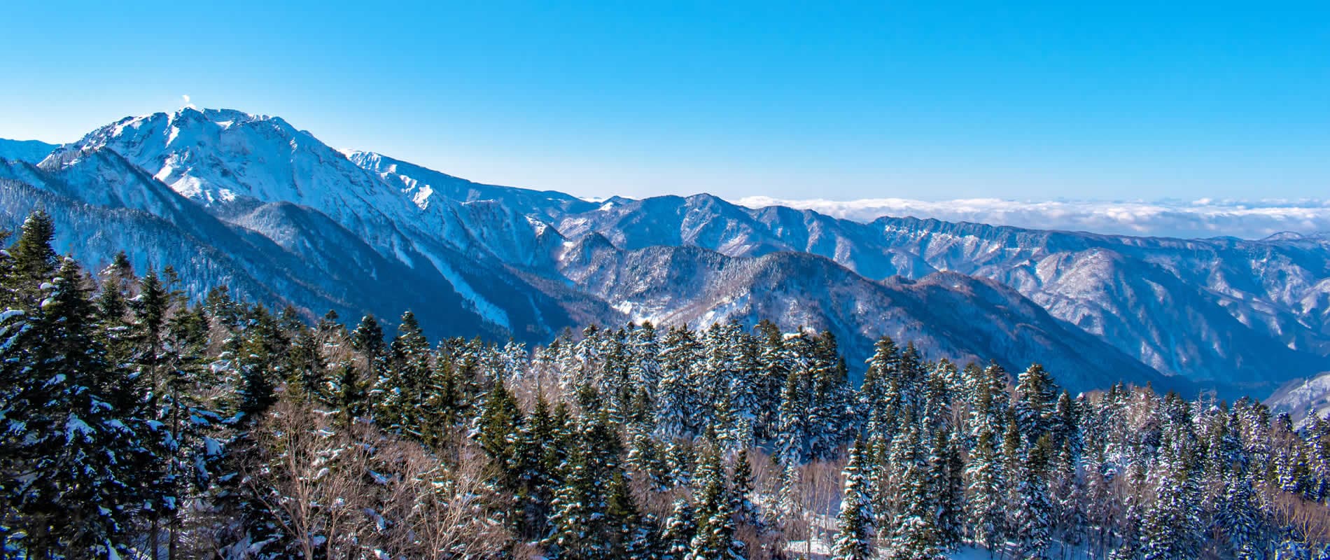 どこにあるの？田島館