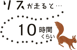 リスが走ると10時間くらい