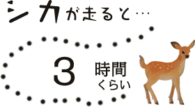 シカが走ると3時間くらい