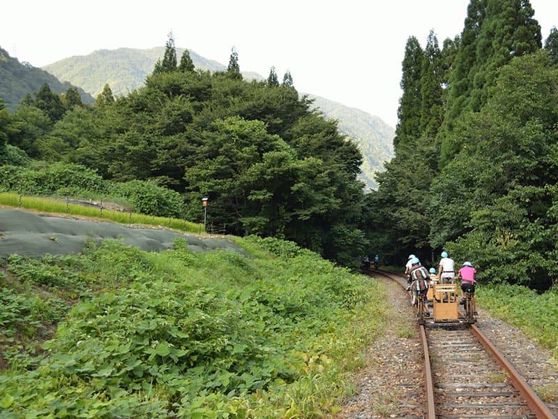 レールマウンテンバイクガッタンゴー