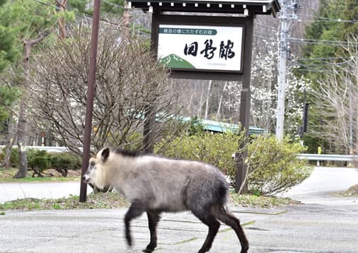 朝晩まだまだ冷え込みます